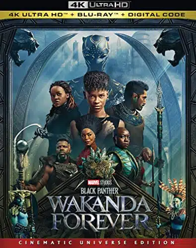 Black Panther Wakanda Forever [K UHD]