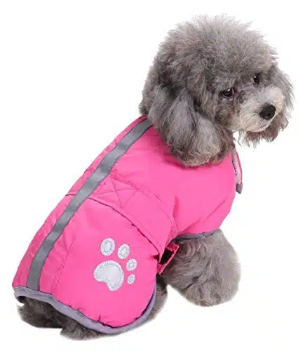 Queenmore Cold Weather Dog Coats Loft Reversible Winter Fleece Dog Vest Waterproof Pet Jacket Available in Extra Small, Small, Medium, Large Extra Large Sizes